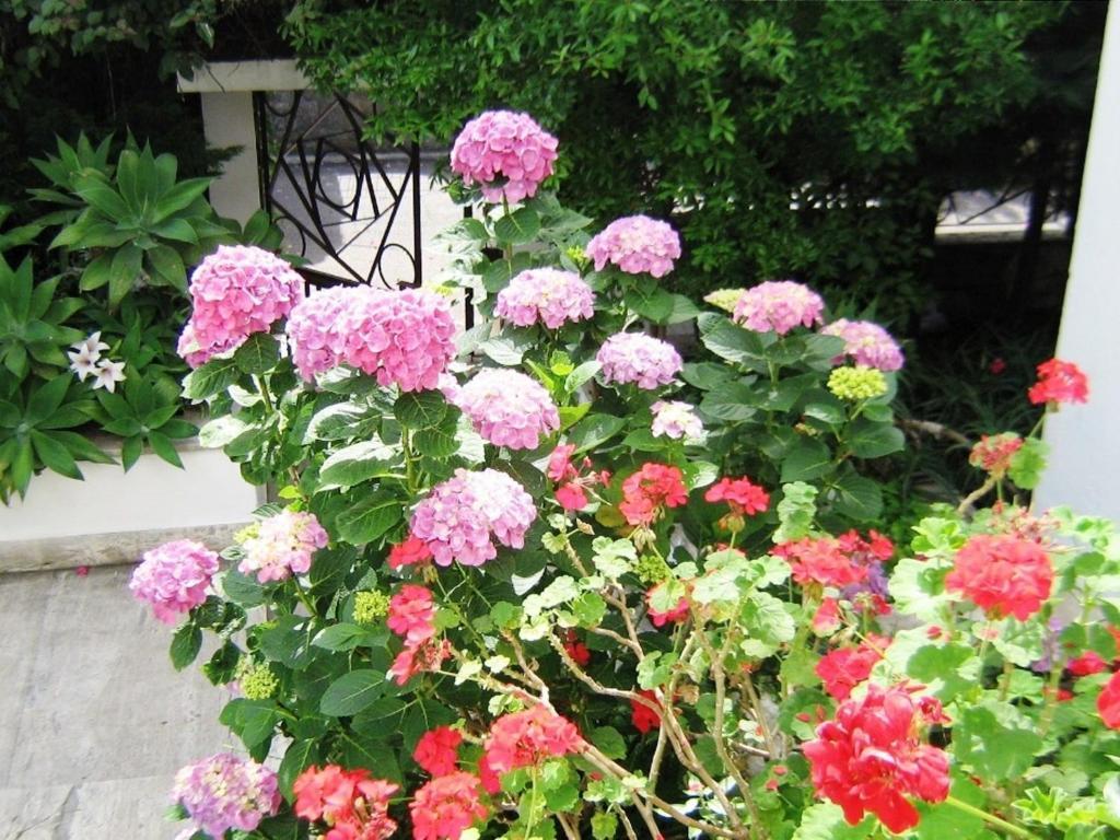 Trecase B&B Il Giardino Di Villa Anna المظهر الخارجي الصورة