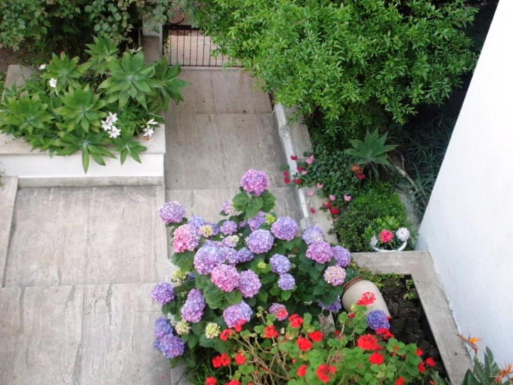 Trecase B&B Il Giardino Di Villa Anna المظهر الخارجي الصورة