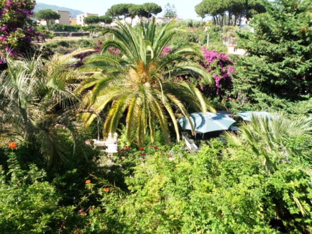 Trecase B&B Il Giardino Di Villa Anna المظهر الخارجي الصورة