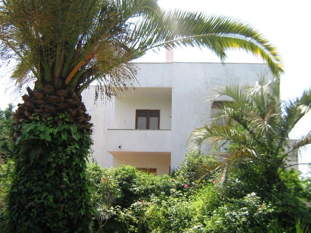 Trecase B&B Il Giardino Di Villa Anna المظهر الخارجي الصورة