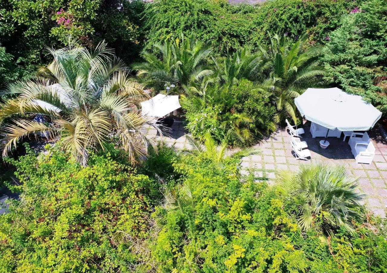 Trecase B&B Il Giardino Di Villa Anna المظهر الخارجي الصورة