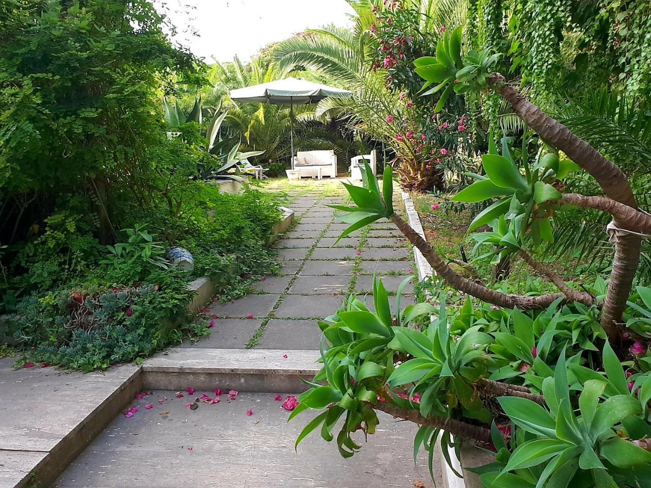 Trecase B&B Il Giardino Di Villa Anna المظهر الخارجي الصورة