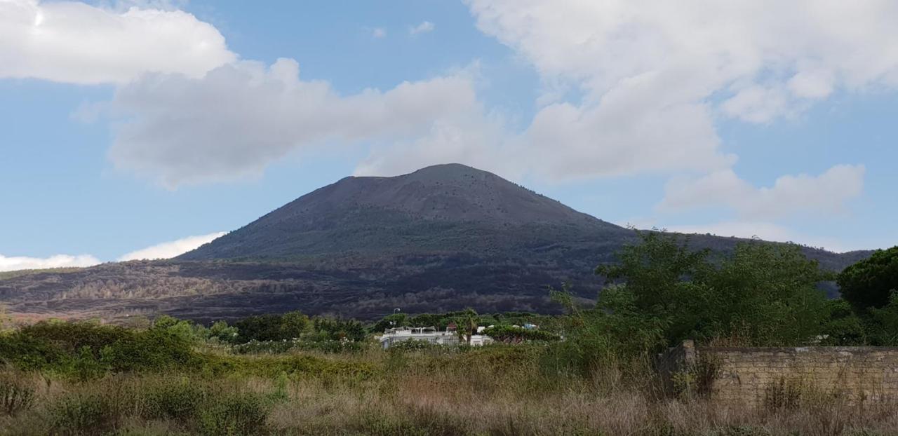 Trecase B&B Il Giardino Di Villa Anna المظهر الخارجي الصورة