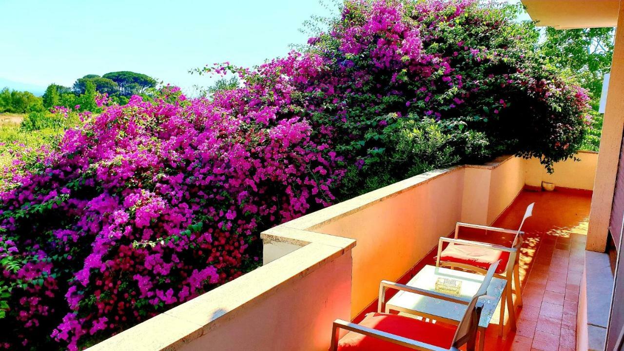 Trecase B&B Il Giardino Di Villa Anna المظهر الخارجي الصورة
