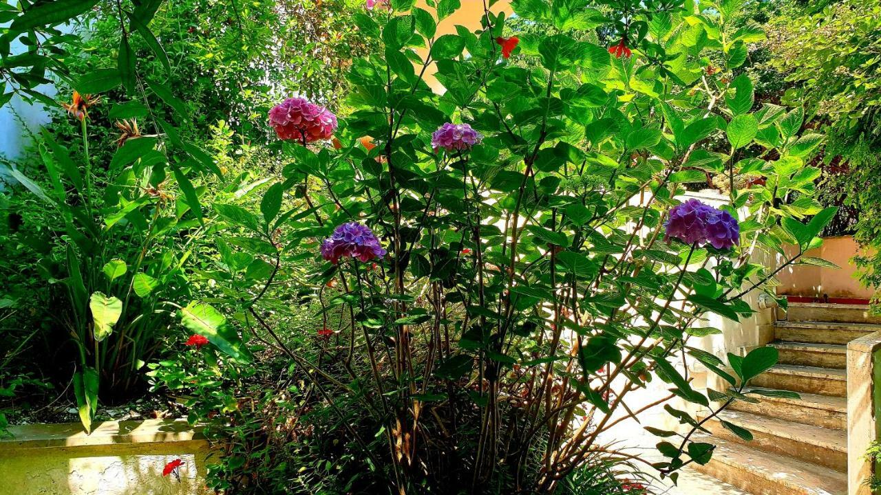 Trecase B&B Il Giardino Di Villa Anna المظهر الخارجي الصورة